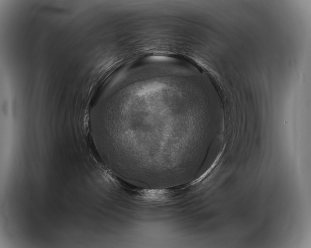 X0000087370192200704201234