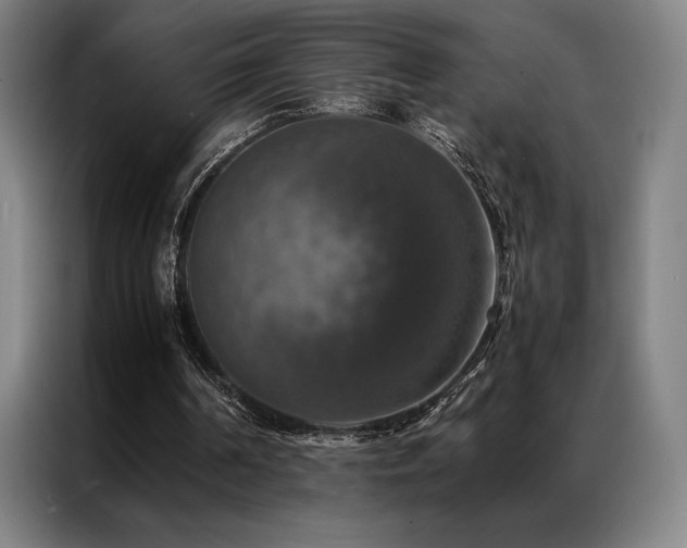 X0000087370194200704201234