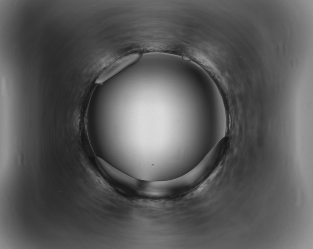 X0000087370201200704201234