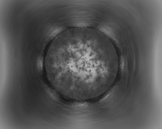X0000087370206200704201234