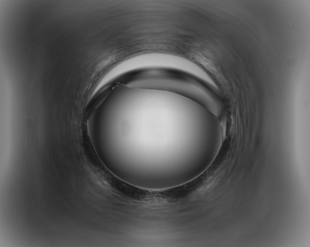 X0000087370207200704201233