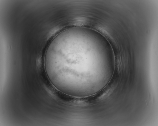 X0000087370208200704201233