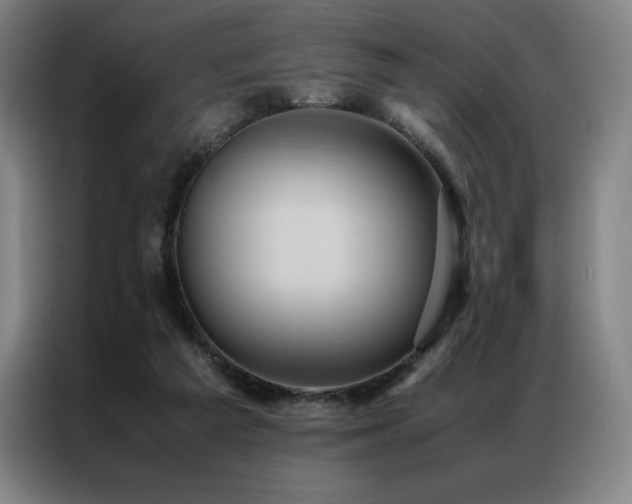 X0000087370209200704201233