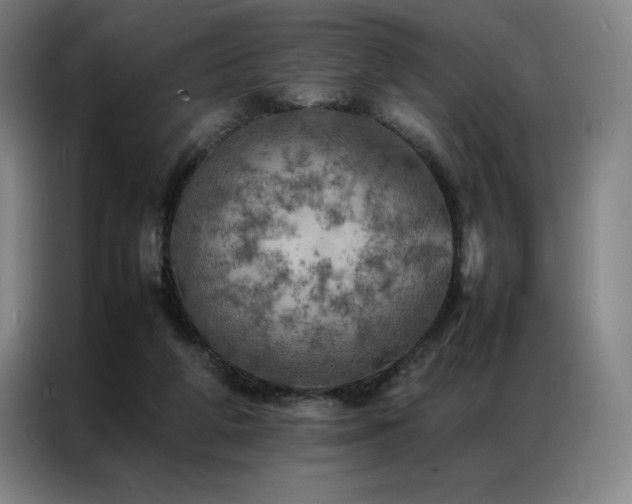 X0000087370210200704201233