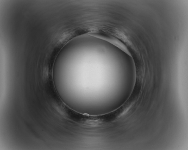 X0000087370213200704201233