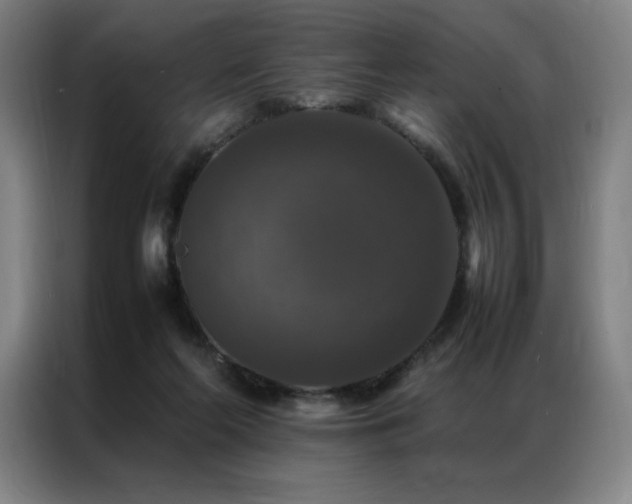 X0000087370214200704201233