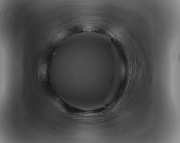 X0000087370219200704201233