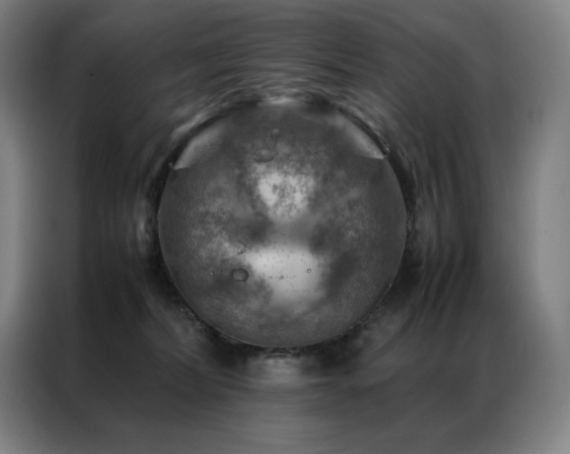 X0000087370228200704201233
