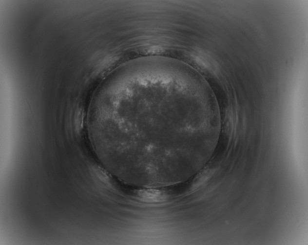 X0000087370230200704201233