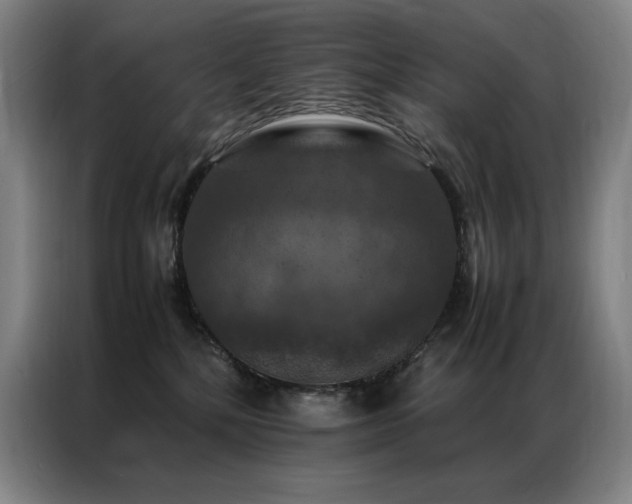 X0000087370232200704201233