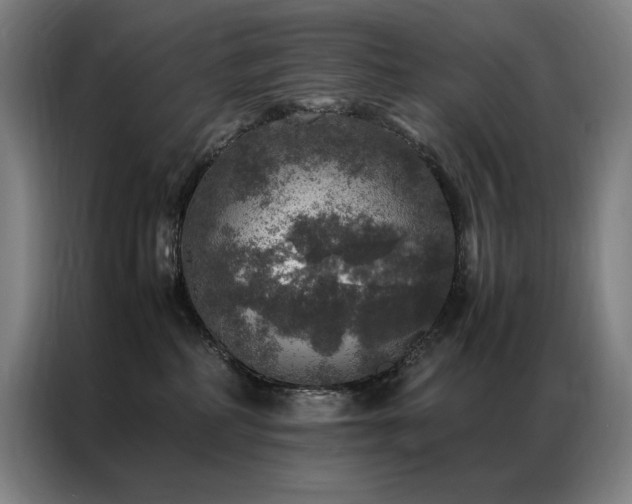 X0000087370234200704201233