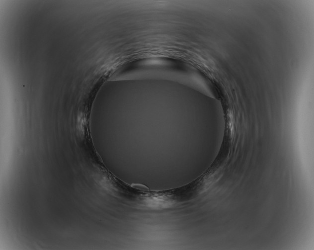 X0000087370235200704201233