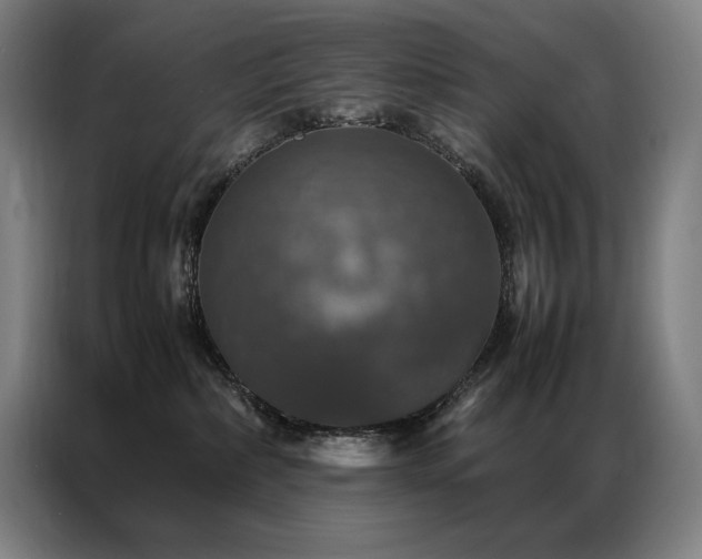 X0000087370236200704201233