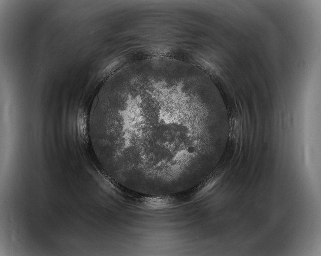 X0000087370238200704201233