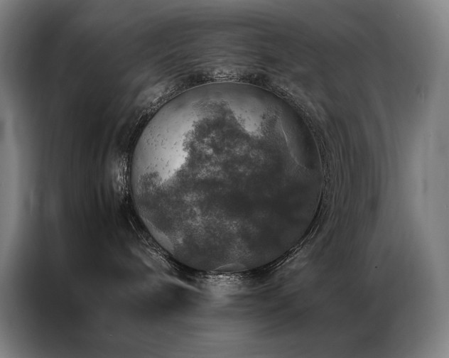 X0000087370240200704201233