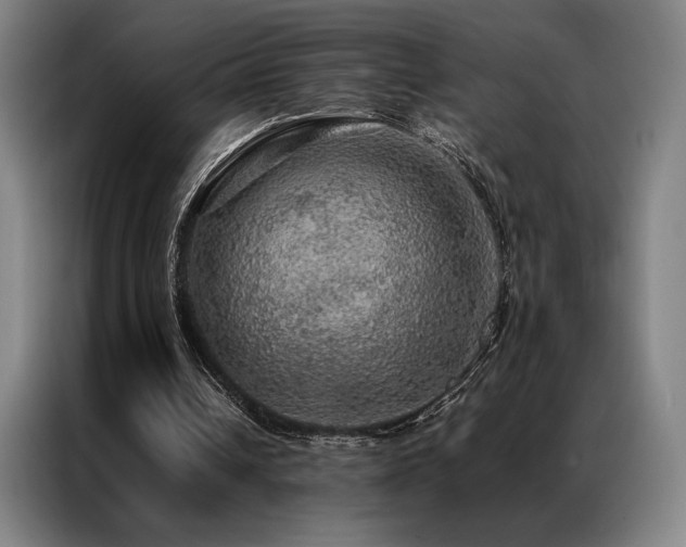 X0000087370242200704201233