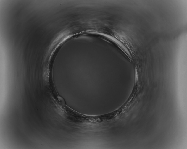 X0000087370243200704201233