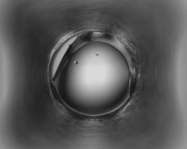 X0000087370244200704201233