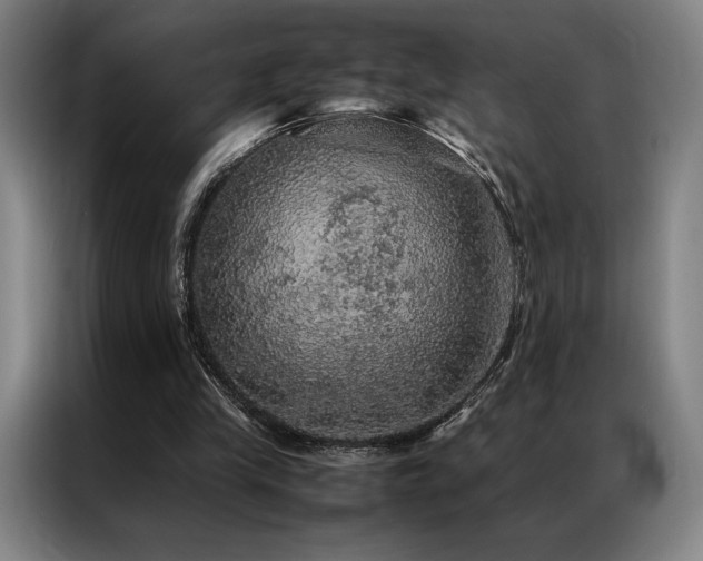 X0000087370245200704201233