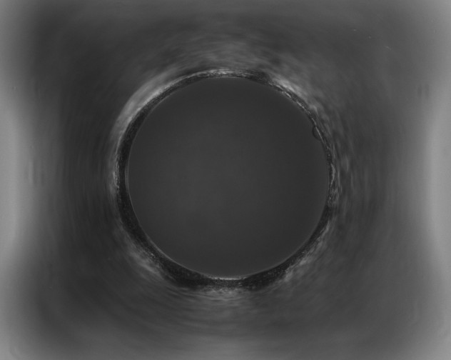 X0000087370247200704201233