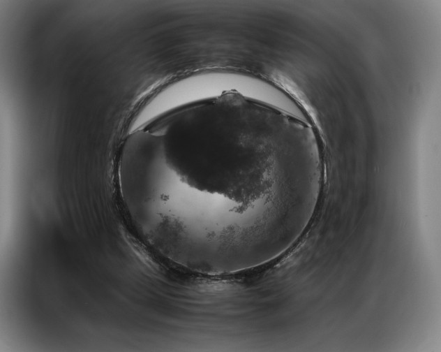 X0000087370249200704201233