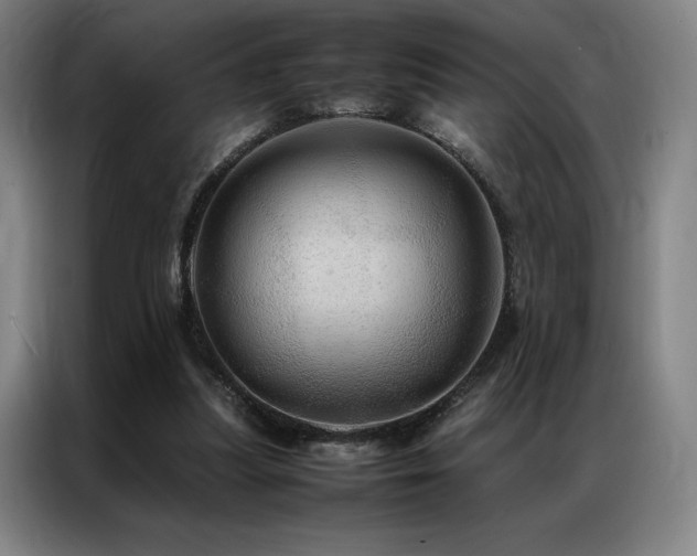 X0000087370251200704201233