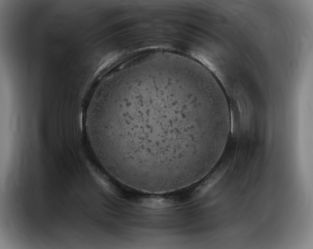 X0000087370253200704201233