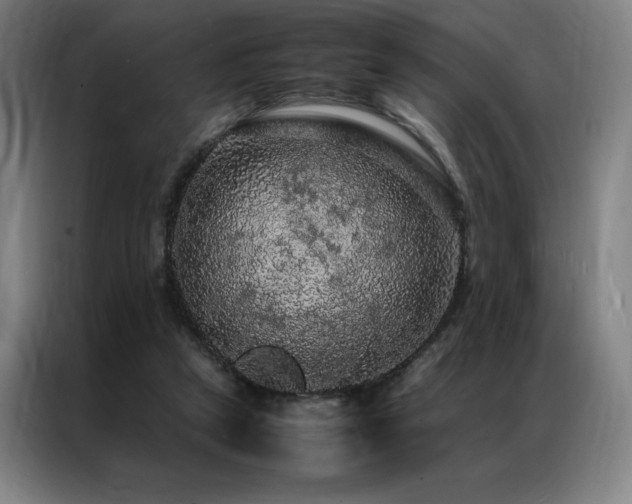 X0000087370257200704201233