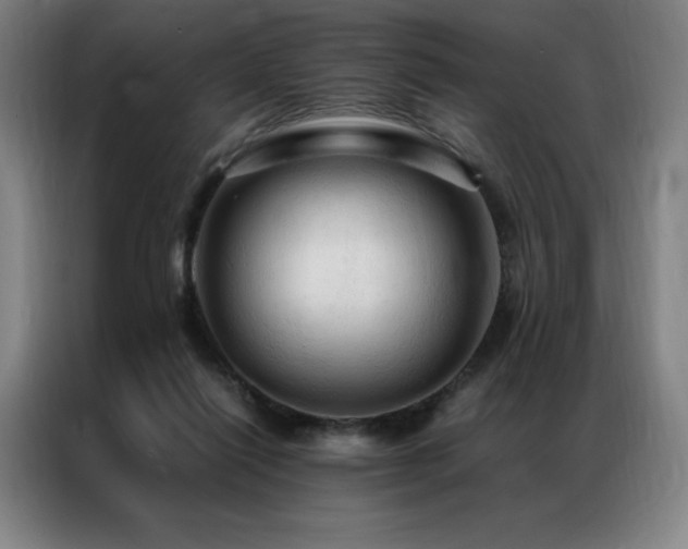 X0000087370262200704201233