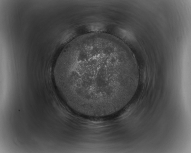 X0000087370263200704201233