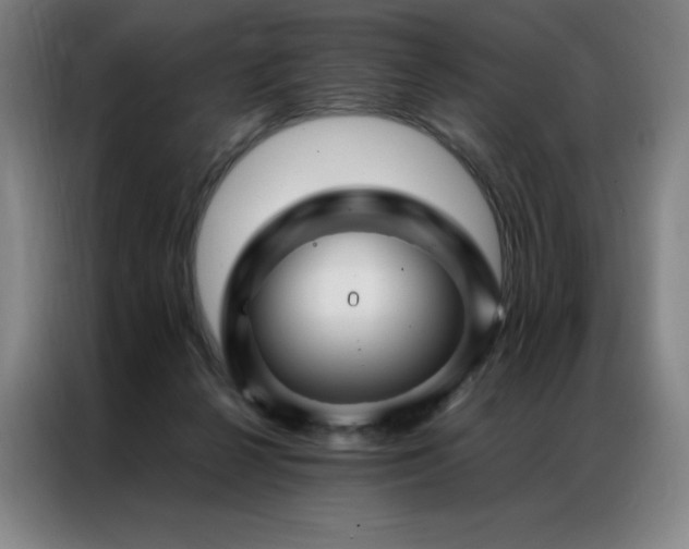 X0000087370264200704201233