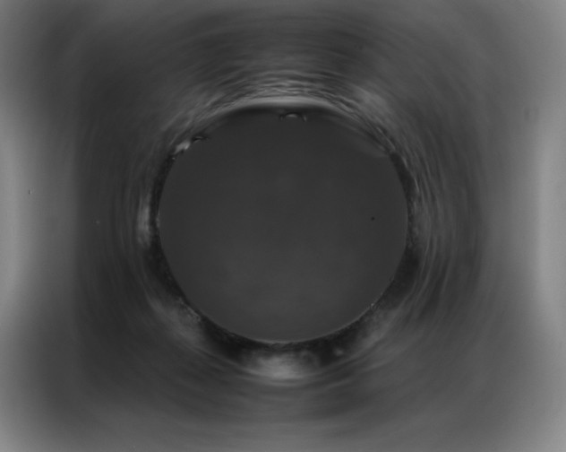 X0000087370267200704201233