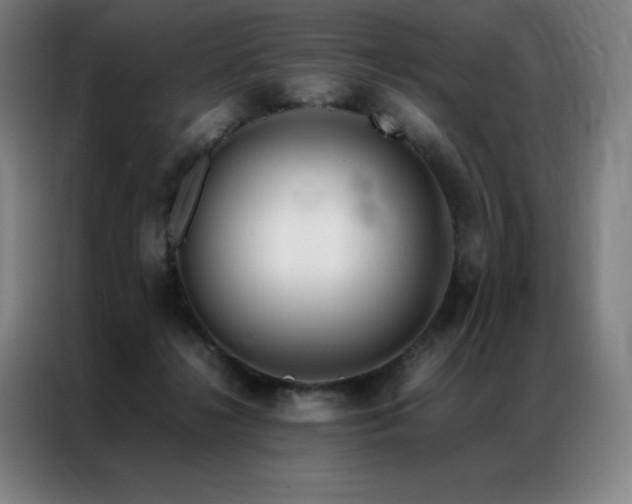 X0000087370268200704201233