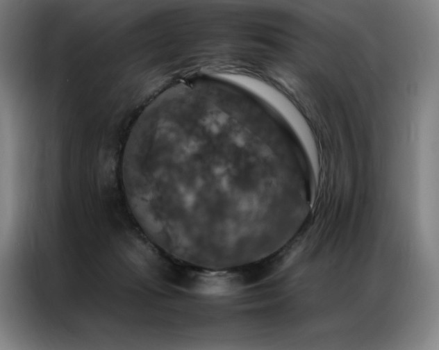 X0000087370269200704201233