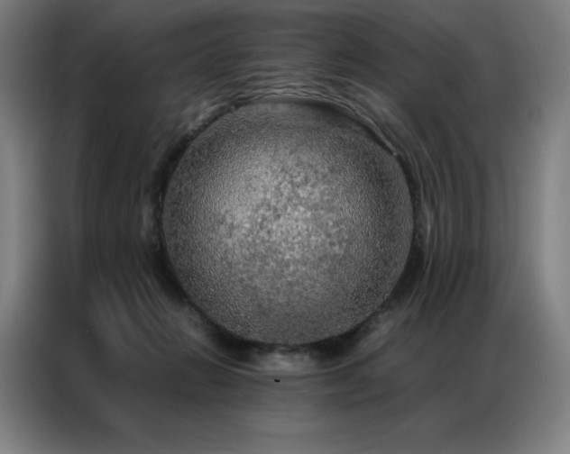 X0000087370270200704201233