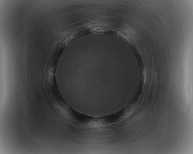X0000087370271200704201233