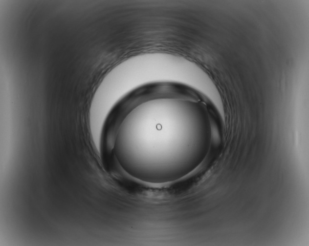 X0000087370272200704201233