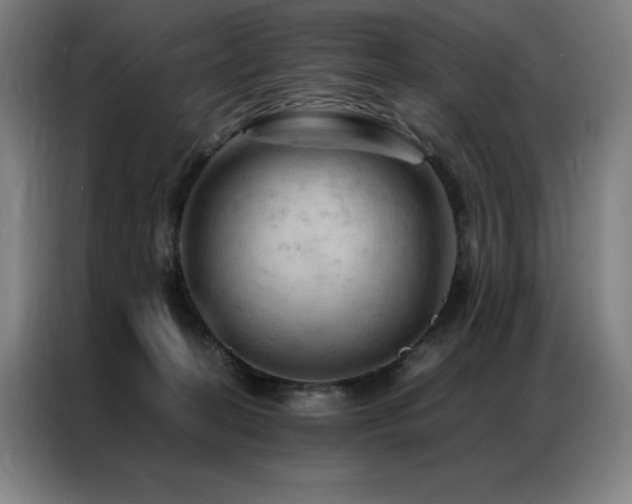 X0000087370274200704201233