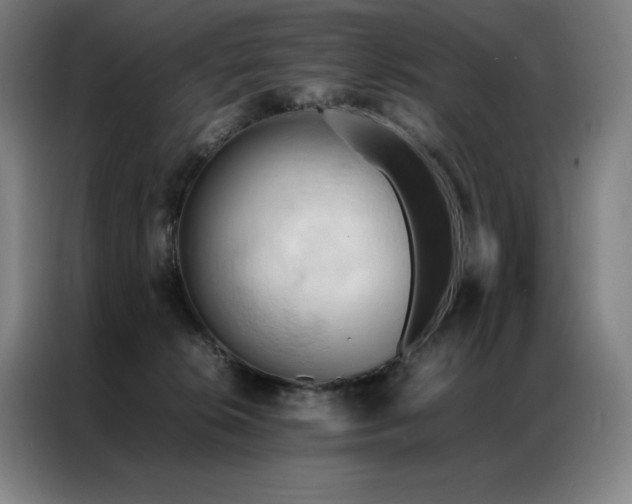 X0000087370276200704201233