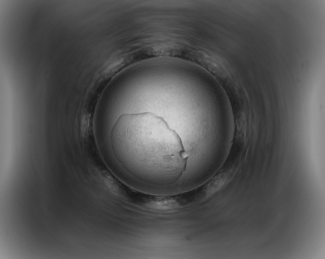 X0000087370278200704201233