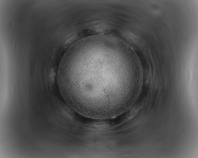 X0000087370279200704201233