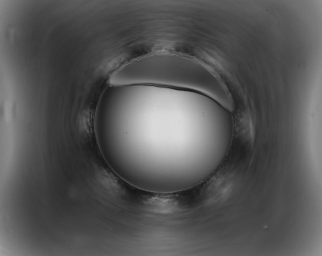 X0000087370280200704201233
