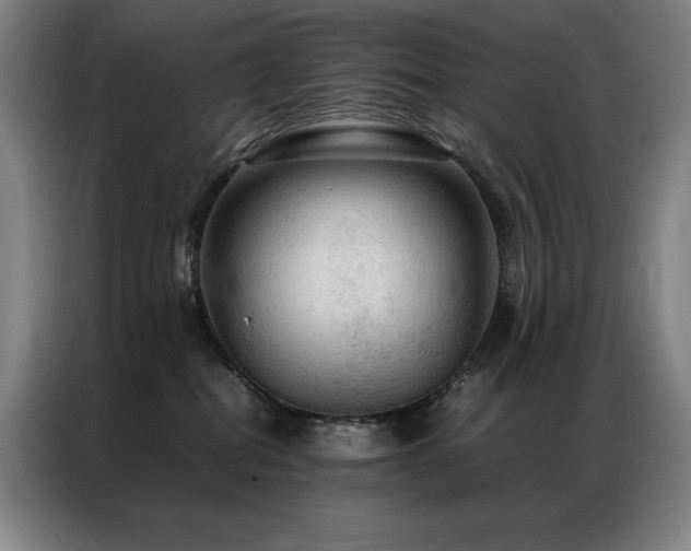 X0000087370282200704201233