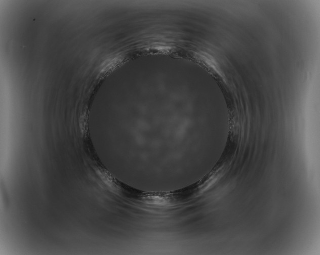 X0000087370285200704201233