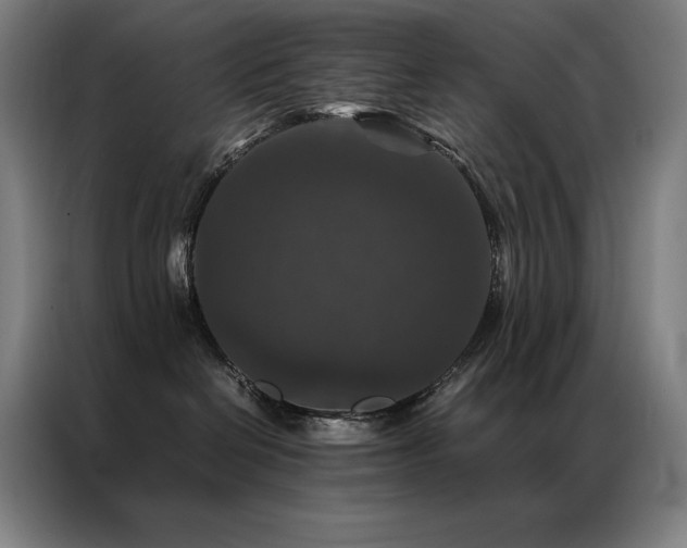 X0000087370286200704201233