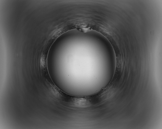 X0000087370287200704201233