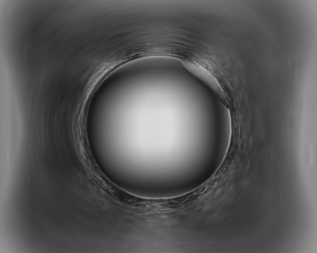 X0000087370289200704201233