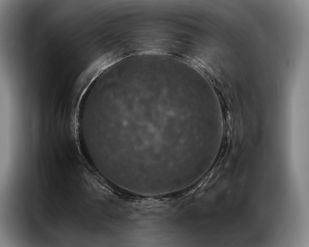 X0000087370290200704201233