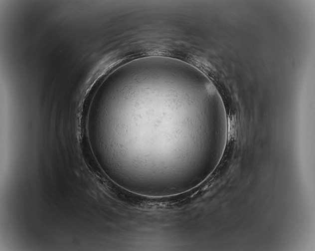 X0000087370291200704201233