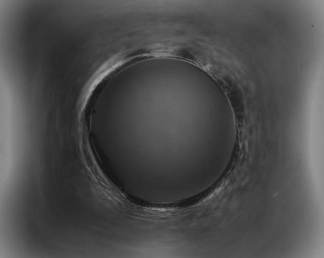 X0000087370295200704201232